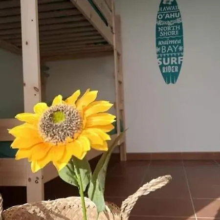 House - Casa De Ferias Monte Clerigo * אלג'זור